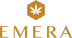 Emera Main Logo White
