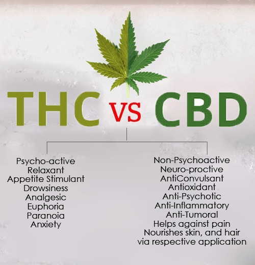 Difference between THC and CBD