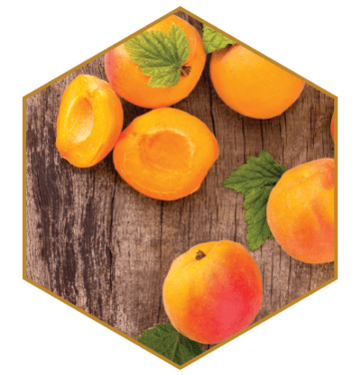 Apricot Oil Natural Hair Ingredient