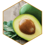 Avocado Oil Natural Hair Ingredient