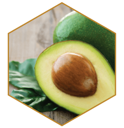 Avocado Oil Natural Hair Ingredient