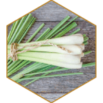 Lemongrass Natural Hair Ingredient | Difference Between Dandruff Psoriasis and Itchy Scalp
