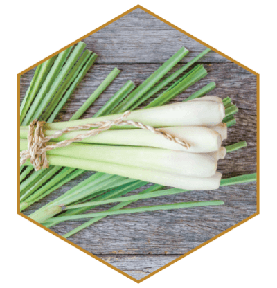 Lemongrass Natural Hair Ingredient