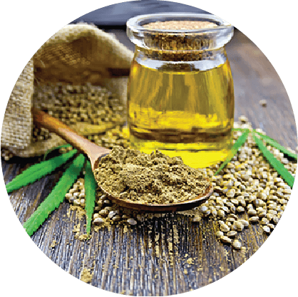 Hemp Seed Oil