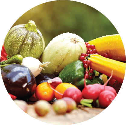 HYDROLYZED VEGETABLE PROTEIN